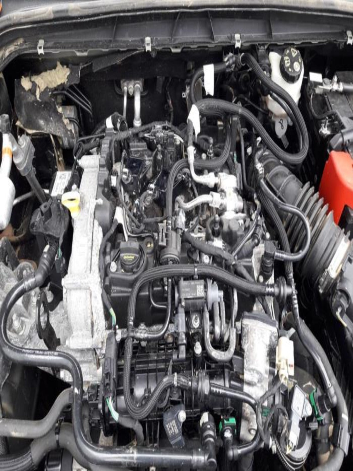 1.0 EcoBoost engine (B7DA) Used ideal replacement!